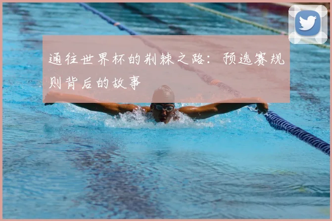 通往世界杯的荆棘之路：预选赛规则背后的故事