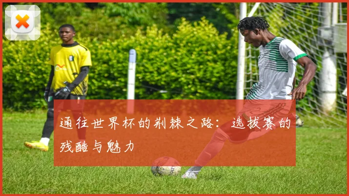 通往世界杯的荆棘之路：选拔赛的残酷与魅力