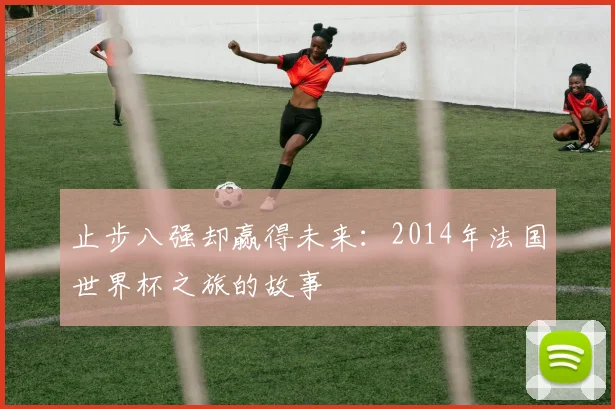 止步八强却赢得未来：2014年法国世界杯之旅的故事