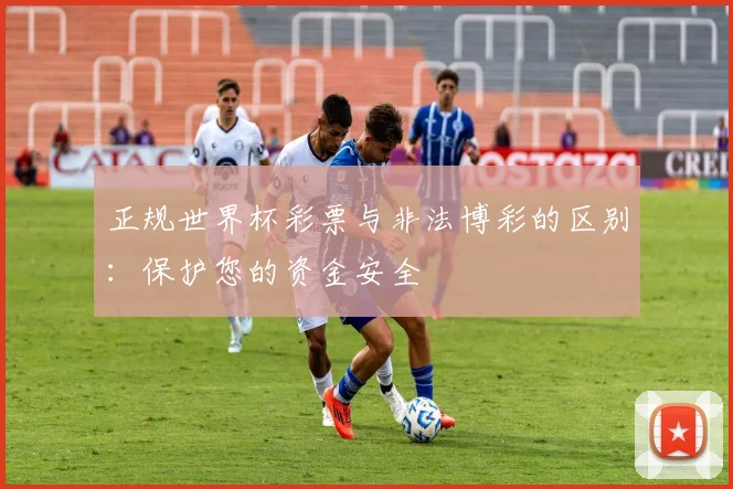 正规世界杯彩票与非法博彩的区别：保护您的资金安全