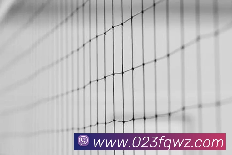 米兰体育网页官网服务体系